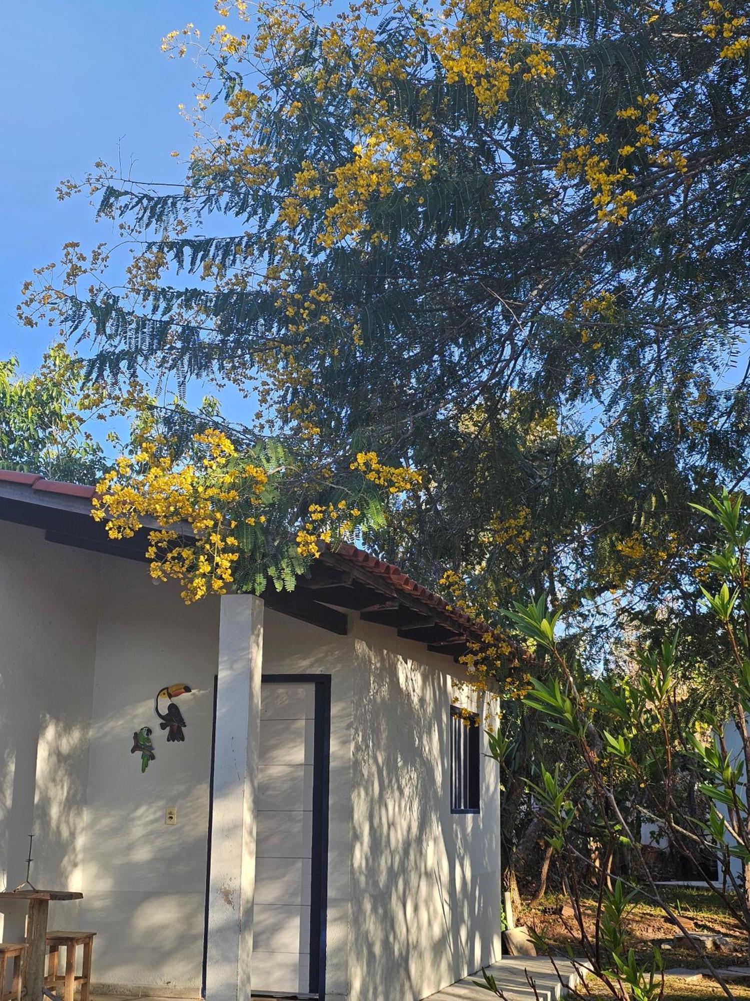 Estancia Morro Do Frota Pirenopolis Exterior photo